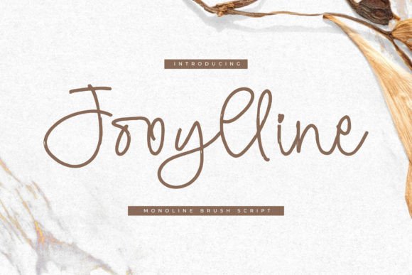 A Practical Review of Jooylline Font for Brand Designers
