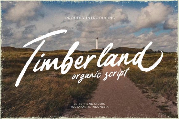 Bringing Organic Elegance to the Web with Timberland Font