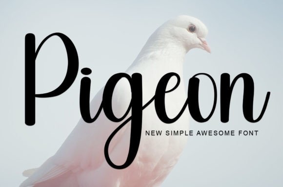 Pigeon Font: The Designer's Secret for Campaign Clarity